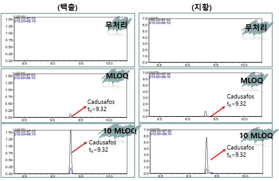 GC-MS/MS 재확인법 대표크로마토그램