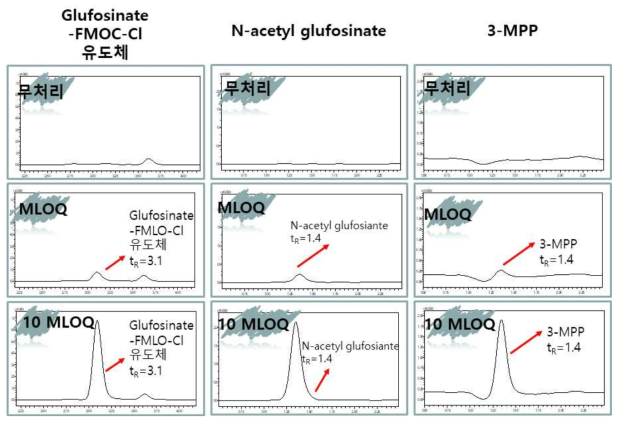 생약 당귀 중 모화합물 glufosinate 및 대사물 N-acetyl glufosinate, 3-MPP의 LC-MS/MS 대표 크로마토그램