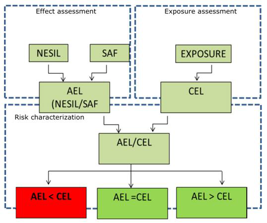 58. 피부감작성에 대한 QRA 방법의 주요 단계 (Abbreviations: NESIL, no expected sensitization induction level; SAFs, sensitization assessment factors; AEL, accepted exposure level; CEL, consumer exposure level) (Loveless et al., 2010; RIVM, 2013)