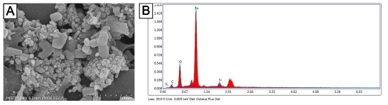 Sample A의 SEM 이미지 및 EDS 측정결과. A. SEM 이미지, B. EDS 측정결과