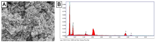 Sample B의 SEM 이미지 및 EDS 측정결과. A. SEM 이미지, B. EDS 측정결과