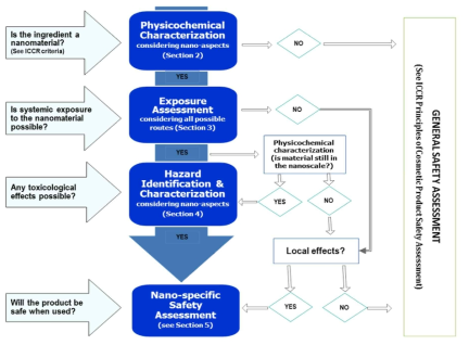 화장품에 사용되는 나노물질의 안전성 평가를 위한 체계도