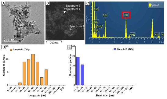 Sample B의 TEM 이미지 측정결과. A. TEM 이미지, B. STEM 이미지, C.EDS 측정결과, D. 길이측정(장축), E. 길이측정(단축)