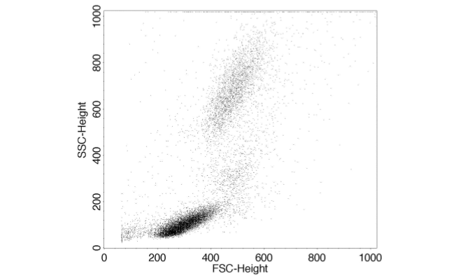 전방 산란 채널(FCS) 및 측방 산란 채널(SSC)에 의해 표시되는 세포의 이변량(bivariate) 점 플롯 (SSC-Height: 측방 산란 채널 높이, FSC-Height: 전방 산란 채널 높이)