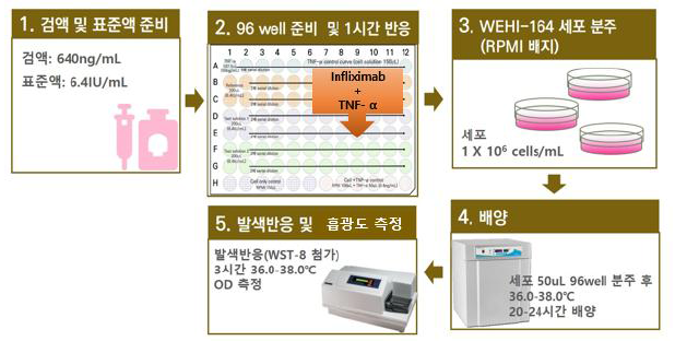 ‘인플릭시맙 농축액’ 역가시험 절차