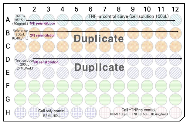 ‘인플릭시맙 농축액’ 역가시험을 위한 96 well plate 준비