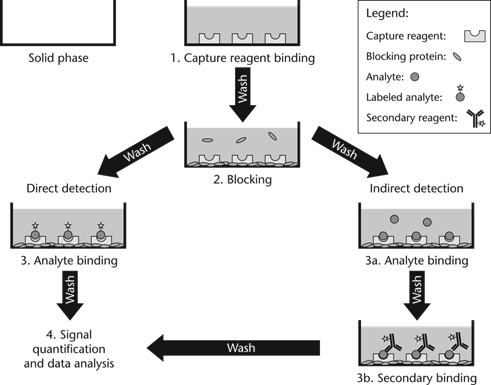 ELISA 수행의 필수 단계 [1. Capture reagent binding: 포획 시약 결합, 2. Blocking: 블러킹, 3. Analyte binding: 분석물 결합, 3a. Analyte binding: 분석물 결합, 3b. secondary binding: 2차 결합, 4. Signal quantification and data analysis: 신호 정량화 및 데이터 분석] (Legend: 범례, Capture reagent: 포획 시약, Blocking Protein: 블로킹 단백질, Analyte: 분석물, Labeled analyte: 표지된 분석물, Secondary reagent: 2차 반응, Solid phase: 고체상, Direct detection: 직접 검출, Indirect detection: 간접 검출, Wash: 세척)