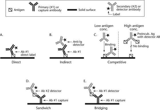 직접, 간접, 경쟁, 샌드위치 및 가교 ELISA의 도식적 표현 [Ab: 항체, Anti-Ig: 항 면역글로불린, Ag: 항원(또는 분석물), Concentration: 농도, preincubation: 예비 배양] (Antigen: 항원, Primary(#1) or capture antibody: 프라이머리(#1) 또는 포획 항체, Solid surface: 고체상 표면, Secondary(#2) or detector antibody: 2차 또는 검출기 항체, Antigen: 항원, Antibody: 항체, Label: 표지, capture: 포획, direct label: 직접 표지, Competitive 경쟁, Low antigen conc.: 낮은 항원 농도, High antigen conc. 높은 항원 농도, Binding: 결합, detector: 검출기)