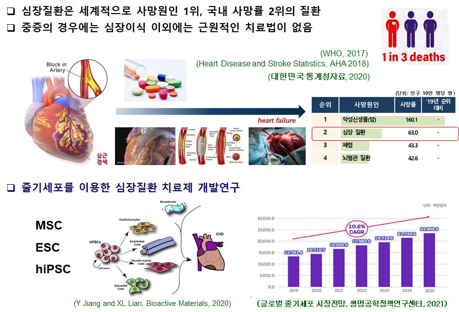 난치성 중증 심장질환과 세포치료 필요성