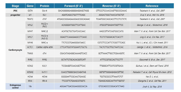 PCR primer 정보