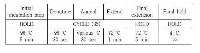 PCR condition