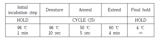 2차 PCR condition