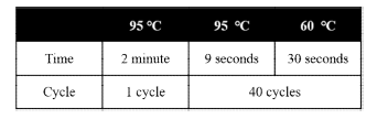 신경줄기세포 DNA 정량을 위한 q-PCR 장비 조건