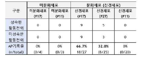 직접교차분화 신경세포 유래 분화신경세포별 활동전위 분석결과