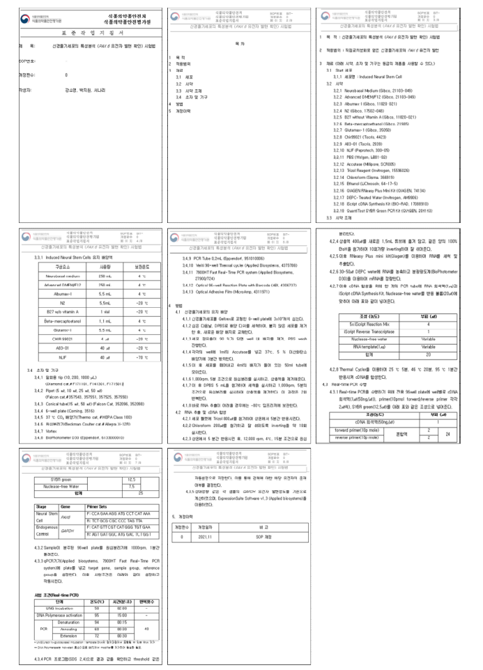 q-PCR 표준작업지침서_PAX6 발현 확인 시험법