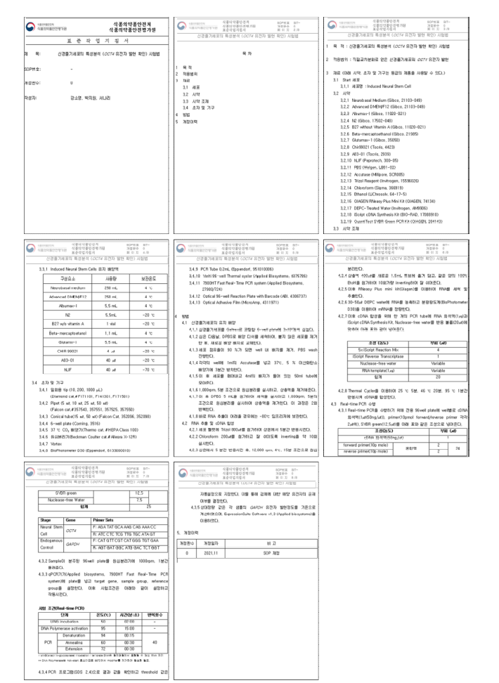 q-PCR 표준작업지침서_OCT4 발현 순도 시험법