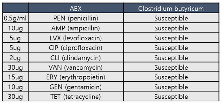 시료A , C. butyricum으] 항생제 테스트 결과