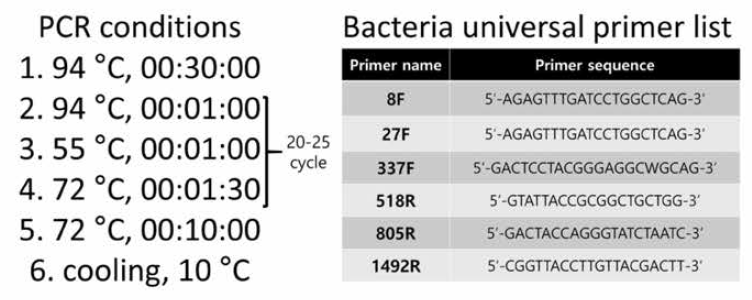 동정을 위한 PCR 조건과 16S rRNA gene 프라이머 정보