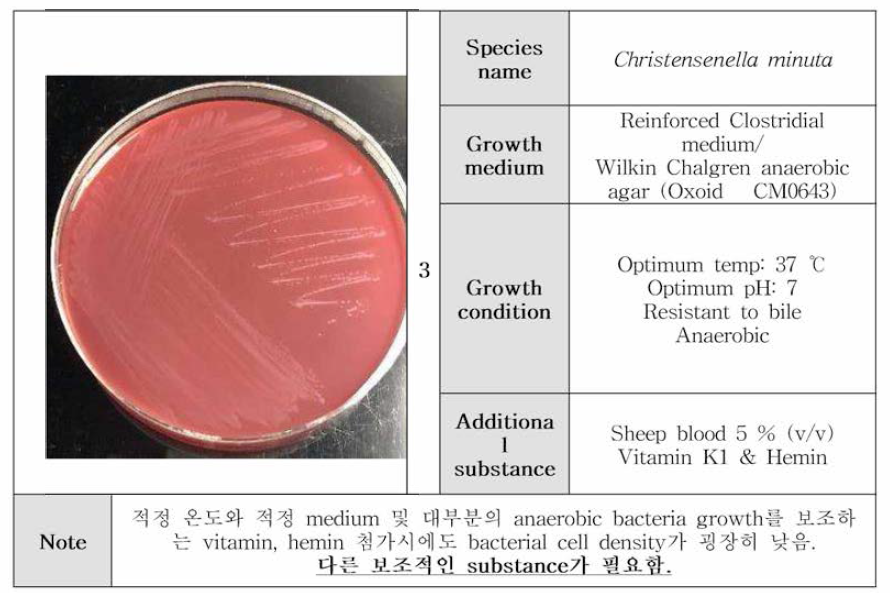 선정된 균주들의 배양 사 진과 특징, 성장 배지 및 환경 정보