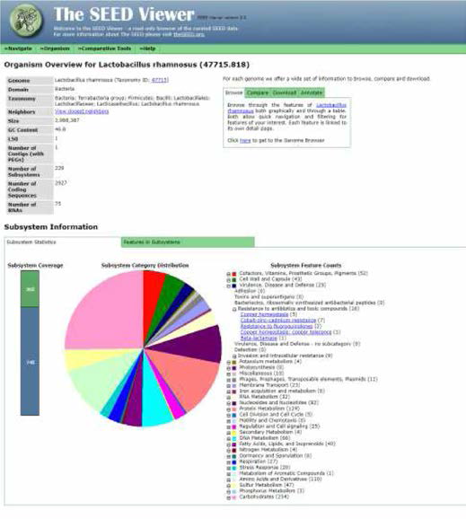 Gene annotation RAST 서버 결과 보고