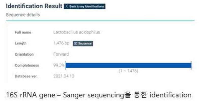 L. acidophilus^] 16S rRNA gene iden仕fication 결과