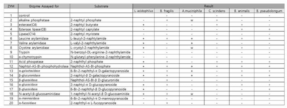 혐기성 균주별 API ZYM 결과