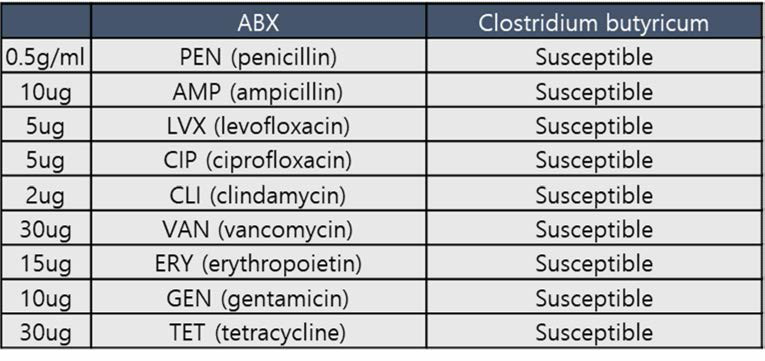 시료 A , C. butyricum으] 항생제 테스트 결과