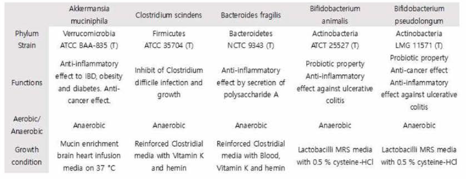특성분석 실험 적용을 위해 선정된 혐기성 균주
