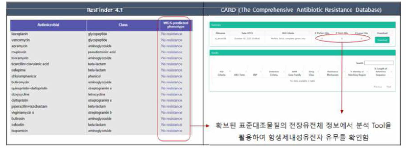 표준대조물질의 항생제내성유전자 분석 결과