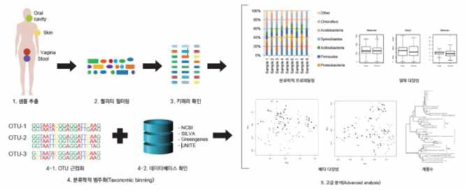 마이크로바이옴 분석 프로세스