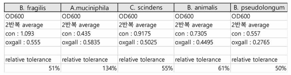 혐기성 균주별 담즙내성 결과
