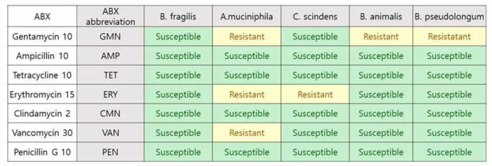 다섯 균주들의 실제 항생제 내성 테스트 결과