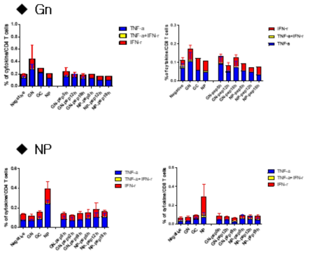 Gn과 NP에 면역된 KO 마우스의 세포성 면역반응 분석
