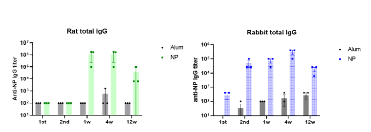 NP에 면역된 랫드와 토끼 혈청에서 분석된 총 항체가