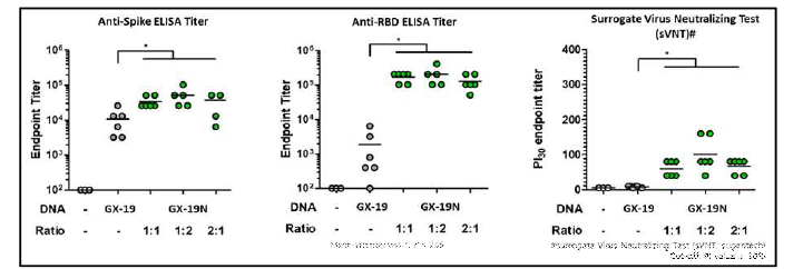 GX-19 및 pGX-19와 GX-21의 비율을 1:1, 1:2, 2:1fh 혼합한 DNA 백신을 2회 투여한 마우스에서 유도된 항체반응 및 중화항체 surrogate ELISA 반응(sVNT)