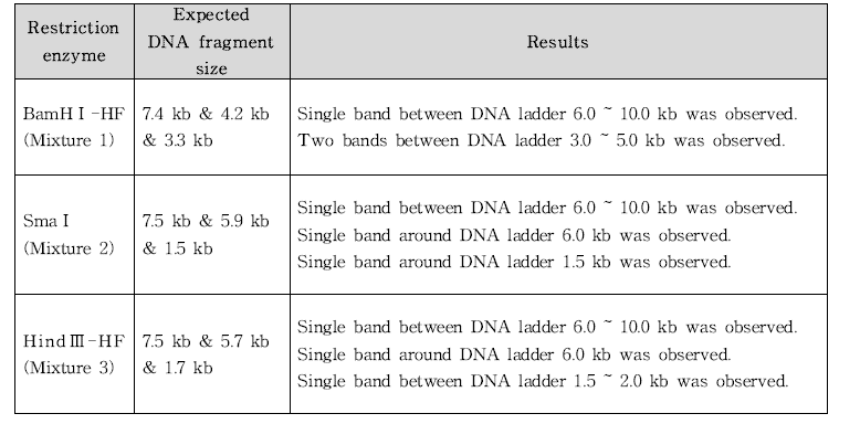 Expected DNA fragment size and results