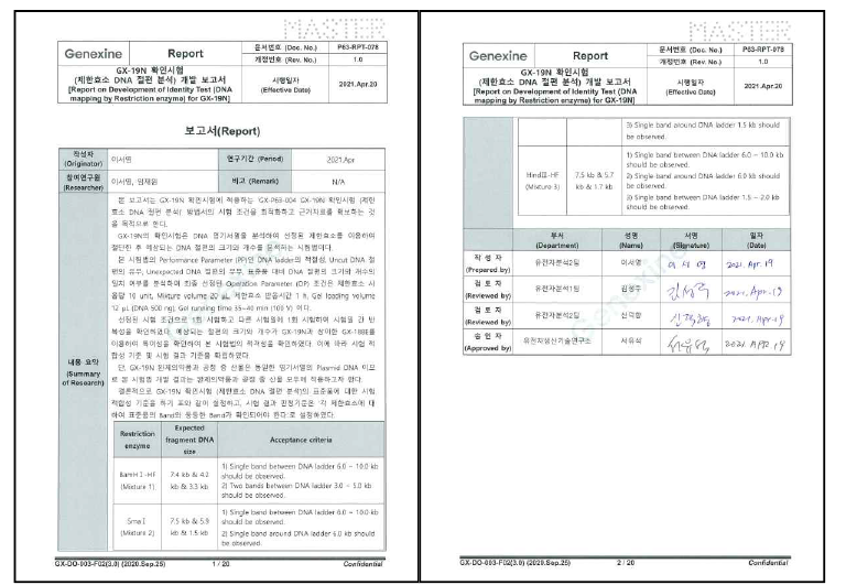 GX-19N 확인시험 개발 보고서