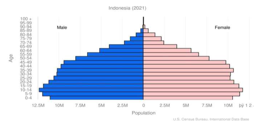 인도네시아 인구분포도