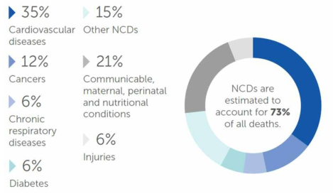 인도네시아 주요 사망 원인 출처: World Health Organization(WHO) - Noncommunicable Diseases (NCD) Country Profiles, 2018