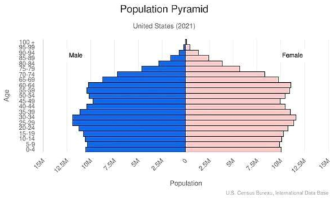 미국 연령별 인구분포