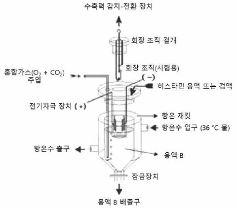 장관능시험수조 장치