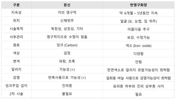 문신과 반영구화장의 차이비교 (보건복지부, 2016)