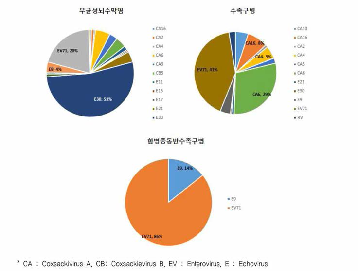 주요 발병 혈청형(2022년도 엔테로바이러스 감염증•수족구병 관리지침，질병관리청)