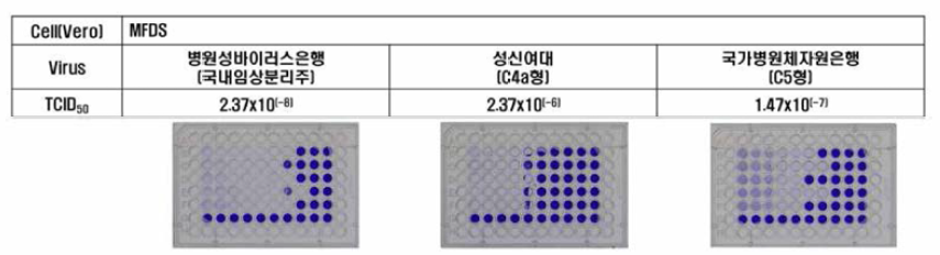 확보된 바이러스주(TCID50 측정 결과)