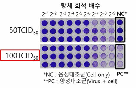 바이러스 농도 비교