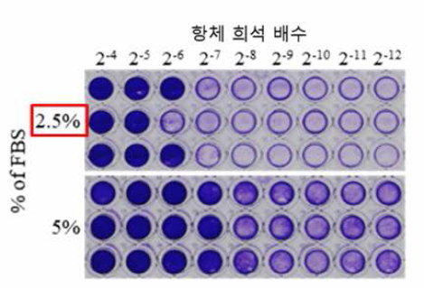 세포 배양액 조건 비교