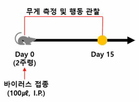 바이러스 감수성 시험 디자인