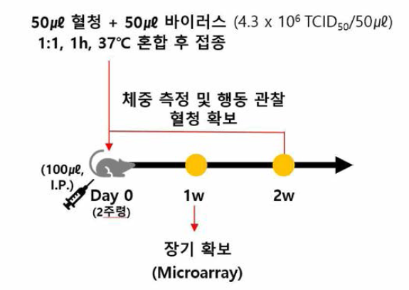 백신 면역원성 평가 시험 디자인