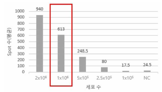 비장 세포주 비교(IL-4)