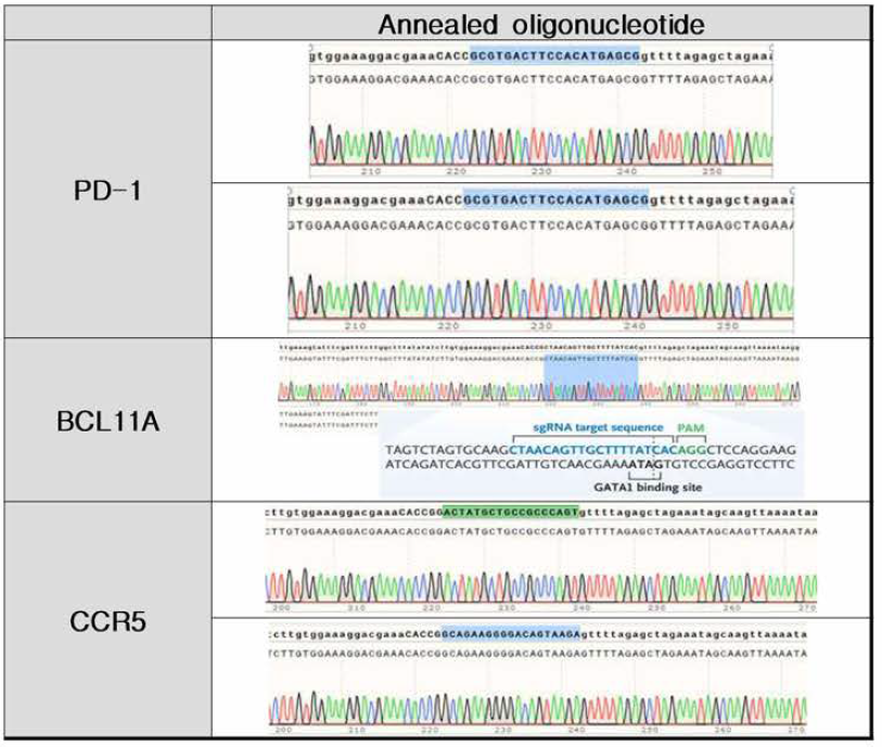 Sanger sequencing data-Snapgene